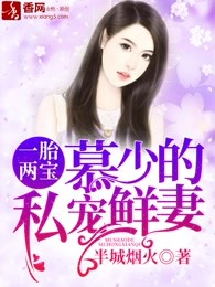 一胎两宝：慕少的私宠鲜妻