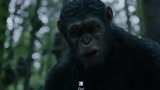 猩球崛起2：大猩猩竟会说人话，一声大吼，人类吓得腿都软了