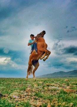 少年与马