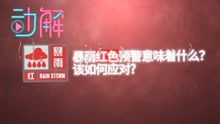 [图]暴雨袭城：红色预警意味着什么？该如何应对？