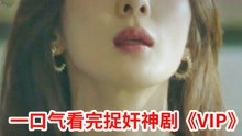 [图]【脑弟】全程反转！一集入坑！一口气看完捉奸神剧《VIP》全集！张娜拉、李相仑、李清娥主演