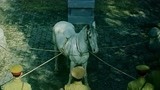 堪比《忠犬八公》的国产片，白马被日军俘获，宁死不屈绝食而亡