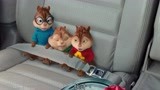 鼠来宝2：小松鼠坐车子也系安全带，小小一只，太可爱了吧！