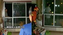 北京一女子站在21层窗户外欲跳楼轻生，心里放心不下自己的猫咪