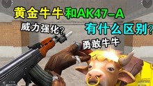 【CF小实验】黄金牛牛和AK47-A有什么区别？