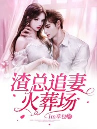 渣总追妻火葬场