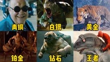 【盘点】漫威、DC、科幻、动作 2021-10-26