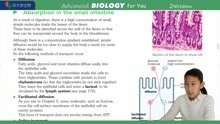 P156 Absorption small intestine常荣讲大学生物BIOLOGY OXFORD