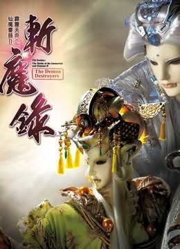 兰陵王妃DVD版
