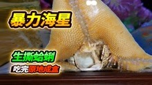 [图]海星进食方式独特，猛鱼缸的家伙进食残暴，拖着病重的身体找团团