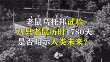 [图]25号宇宙，老鼠乌托邦实验历时1780天，可以告诉我们什么道理？