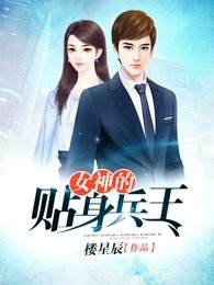 女神的贴身兵王