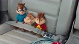 鼠来宝2：小松鼠坐车子也系安全带，小小一只，太可爱！