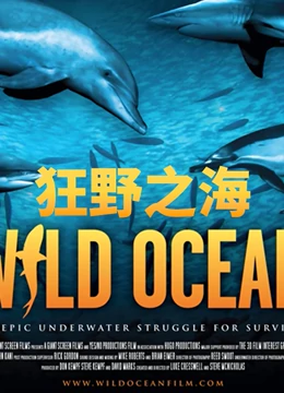 狂野之海}
