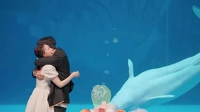 线上看 热点：蒋林伶陈孝良浪漫告白现场 大白鲸镜头感十足！ (2022) 带字幕 中文配音