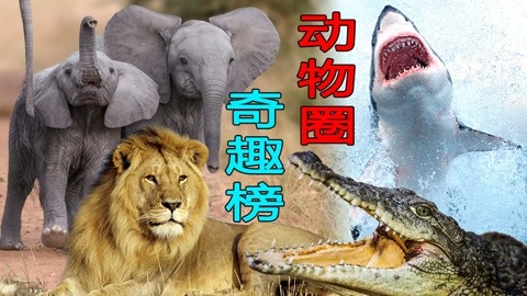 动物圈奇趣榜 打开你的认知新世界