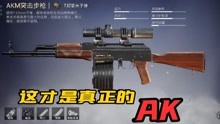 这才是和平精英的最强步枪八倍镜加MG3的AK，大哥看到都慌