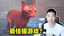 [图]猫咪失足掉入地底赛博世界？这个游戏爱猫人狂喜《迷失stray》