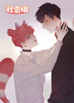 社会喵 动态漫画