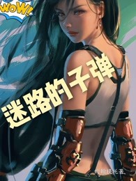 迷路的子弹