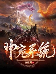 神宠系统