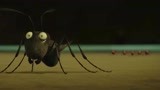 昆虫总动员：黑蚂蚁被红蚂蚁追杀，玩起极限逃生，厉害了