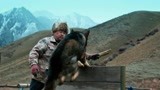 《血狼犬》：蓝波从小被训练，可以翻越所有障碍物！太厉害了！