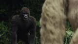 《狂暴巨兽》：男子不停劝，走动了几步，下秒下猩猩直接扑上来
