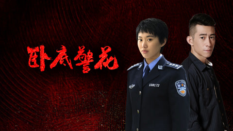 卧底警花