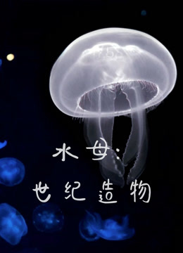 水母：世纪造物