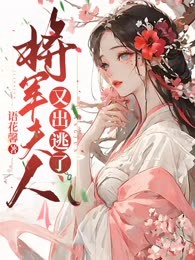 将军夫人又出逃了