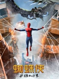 蜘蛛侠英雄归来普通话}