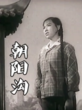 朝阳沟豫剧}