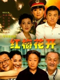 红梅花开}