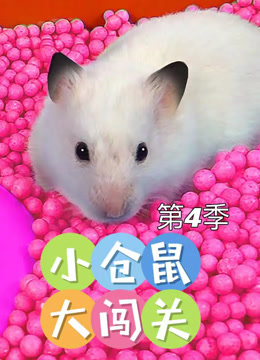 小仓鼠大闯关第四季