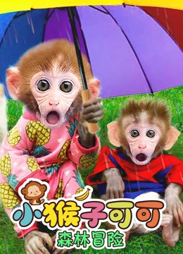 小猴子可可森林冒险}