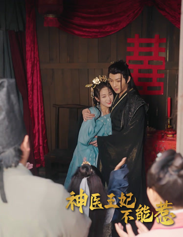 神医王妃不好惹完整版