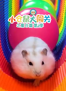 小仓鼠大闯关之夏日篇 第二季}