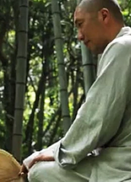 央视纪录频道《茶》}