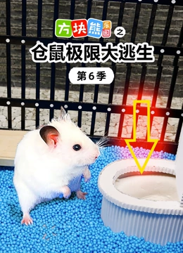 方块熊乐园之仓鼠极限大逃生 第6季}