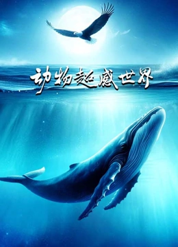 动物超感世界}