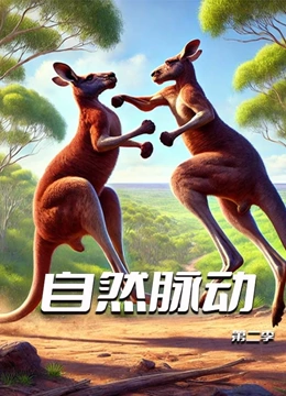 自然脉动第二季}