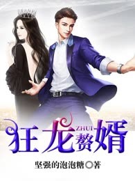 狂龙赘婿