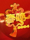 2004央视春晚}