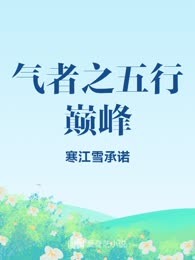 气者之五行巅峰
