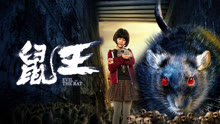 Tonton online EVIL OF THE RAT (2025) Sub Indo Dubbing Mandarin