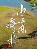 山之东海之北}