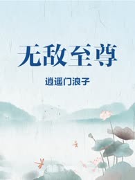 无敌至尊
