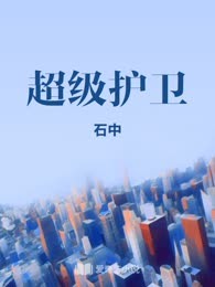 超级护卫
