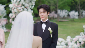 Watch the latest EP28 He Suye and Shen Xifan hold their wedding online with English subtitle for free English Subtitle